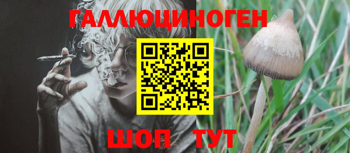 Галлюциногенные грибы MAGIC MUSHROOMS  Вход с VPN  Муром  Псилоцибиновые грибы прущие грибы 